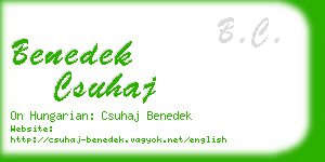 benedek csuhaj business card
